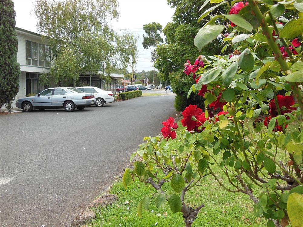 Motel Ringwood Exterior photo